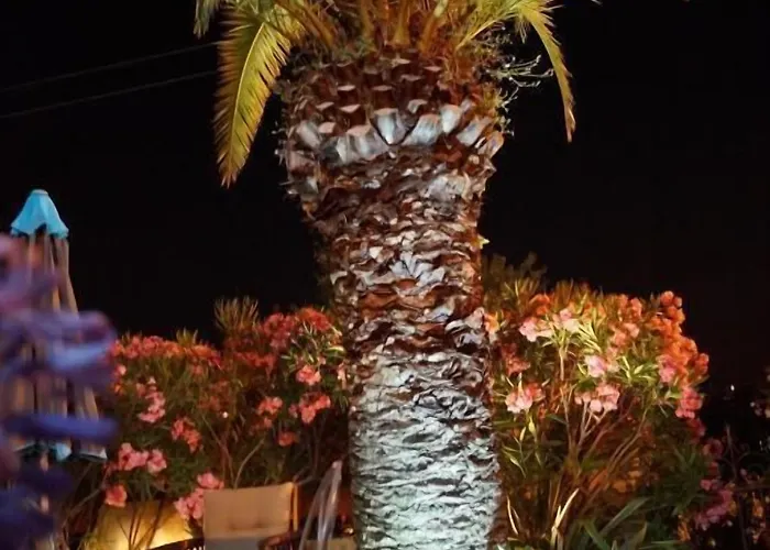 Szálloda La Florida 2*